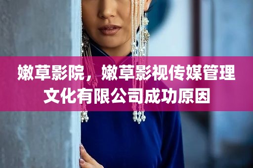 嫩草影院，嫩草影视传媒管理文化有限公司成功原因