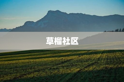 草榴社区