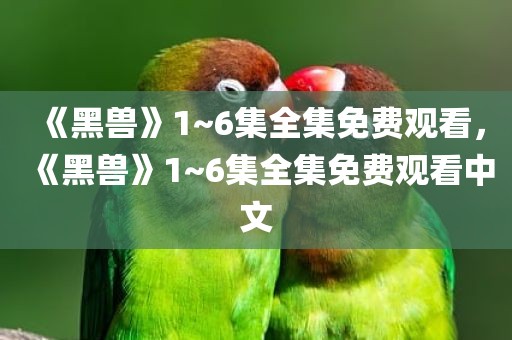 《黑兽》1~6集全集免费观看，《黑兽》1~6集全集免费观看中文