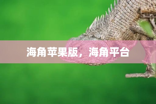 海角苹果版，海角平台