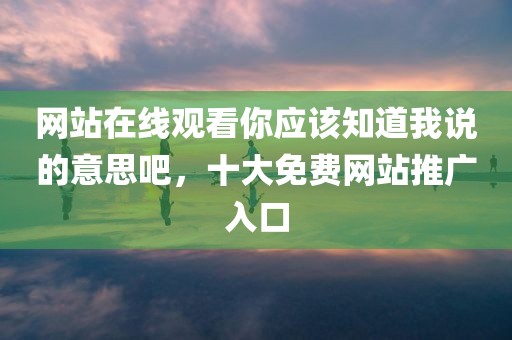 网站在线观看你应该知道我说的意思吧，十大免费网站推广入口