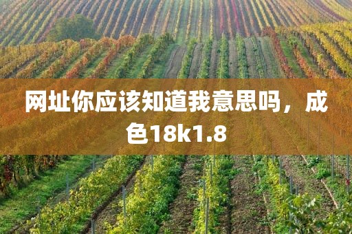 网址你应该知道我意思吗，成色18k1.8