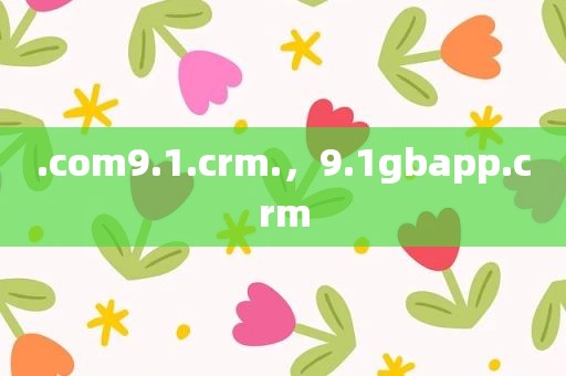 .com9.1.crm.，9.1gbapp.crm