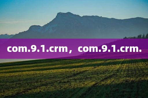 com.9.1.crm，com.9.1.crm.