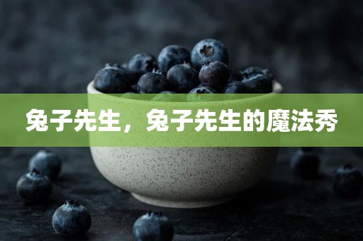 兔子先生，兔子先生的魔法秀