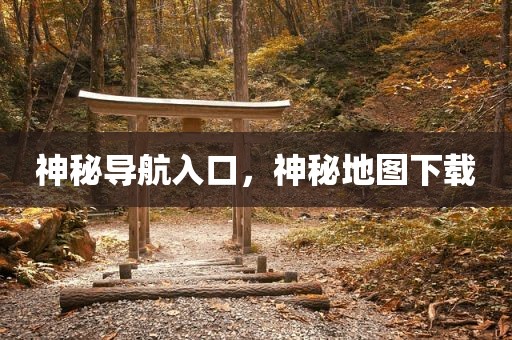 神秘导航入口，神秘地图下载