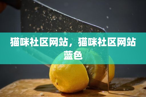 猫咪社区网站，猫咪社区网站蓝色