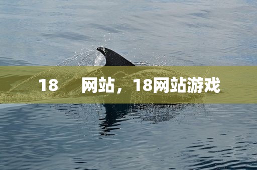 18     网站，18网站游戏
