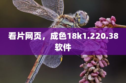 看片网页，成色18k1.220.38软件