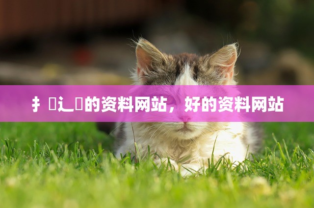 扌臿辶畐的资料网站，好的资料网站