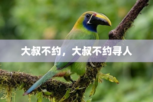大叔不约，大叔不约寻人