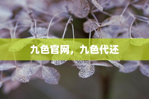 九色官网，九色代还