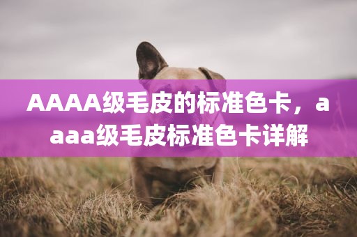 AAAA级毛皮的标准色卡，aaaa级毛皮标准色卡详解