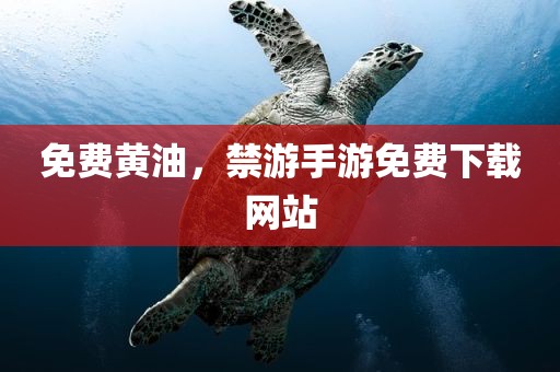 免费黄油，禁游手游免费下载网站