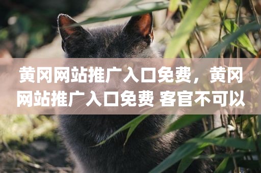 黄冈网站推广入口免费，黄冈网站推广入口免费 客官不可以