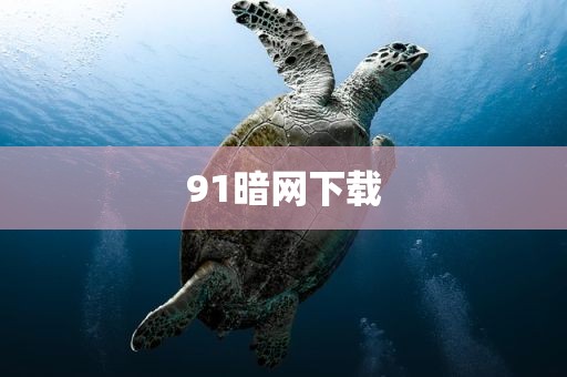 91暗网下载