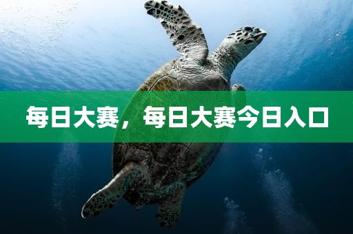 每日大赛，每日大赛今日入口