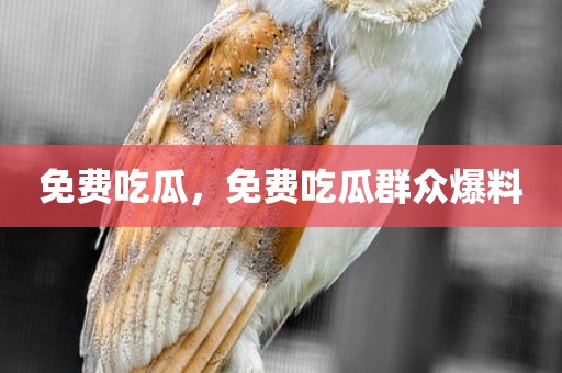 免费吃瓜，免费吃瓜群众爆料