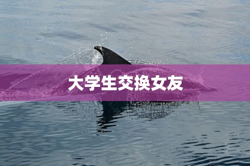 大学生交换女友