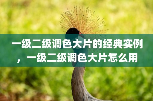 一级二级调色大片的经典实例，一级二级调色大片怎么用
