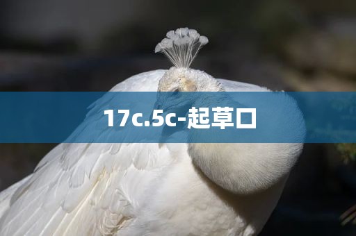 17c.5c-起草口