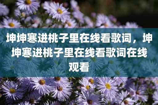 坤坤寒进桃子里在线看歌词，坤坤寒进桃子里在线看歌词在线观看