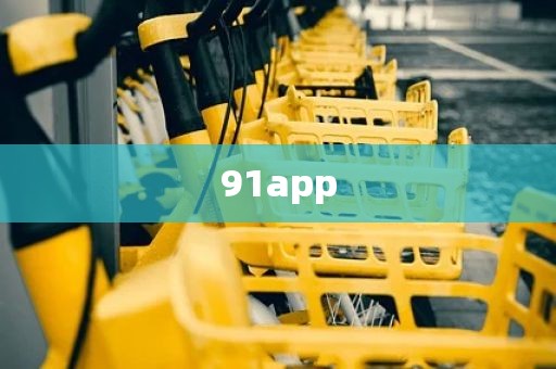 91app