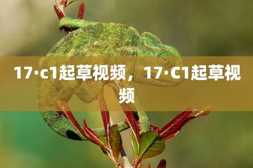 17·c1起草视频，17·C1起草视频