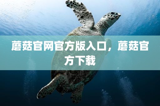 蘑菇官网官方版入口，蘑菇官方下载