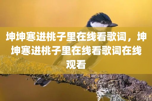 坤坤寒进桃子里在线看歌词，坤坤寒进桃子里在线看歌词在线观看