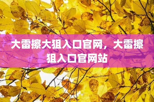 大雷擦大狙入口官网，大雷擦狙入口官网站