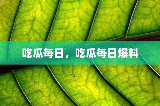吃瓜每日，吃瓜每日爆料