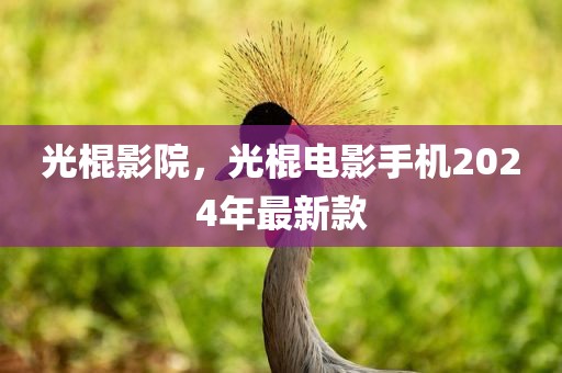 光棍影院，光棍电影手机2024年最新款