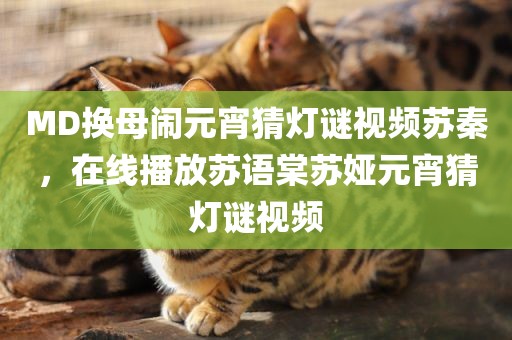 MD换母闹元宵猜灯谜视频苏秦，在线播放苏语棠苏娅元宵猜灯谜视频