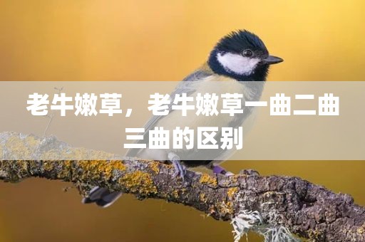 老牛嫩草，老牛嫩草一曲二曲三曲的区别