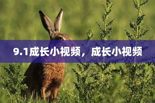 9.1成长小视频，成长小视频