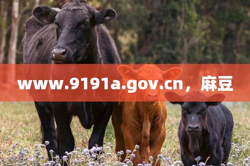www.9191a.gov.cn，麻豆