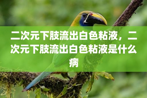二次元下肢流出白色粘液，二次元下肢流出白色粘液是什么病