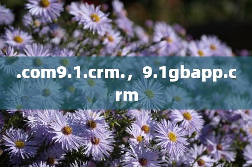 .com9.1.crm.，9.1gbapp.crm