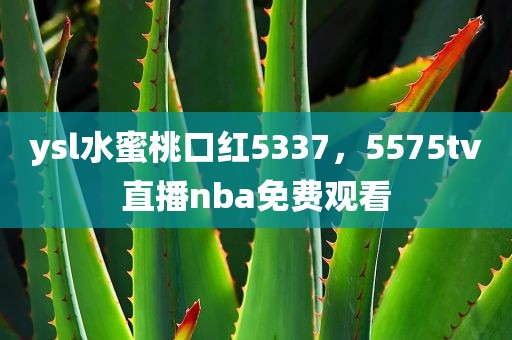 ysl水蜜桃口红5337，5575tv直播nba免费观看