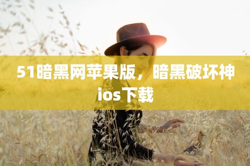 51暗黑网苹果版，暗黑破坏神ios下载