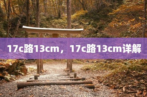 17c路13cm，17c路13cm详解
