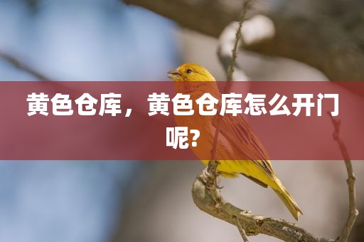 黄色仓库，黄色仓库怎么开门呢?