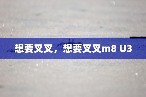 想要叉叉，想要叉叉m8 U3