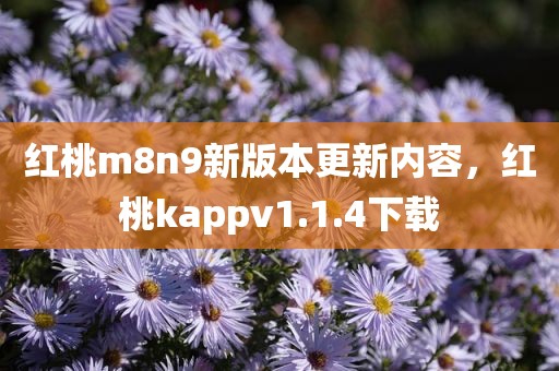 红桃m8n9新版本更新内容，红桃kappv1.1.4下载
