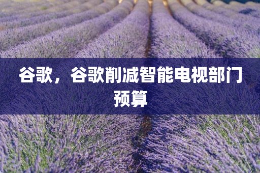 谷歌，谷歌削减智能电视部门预算