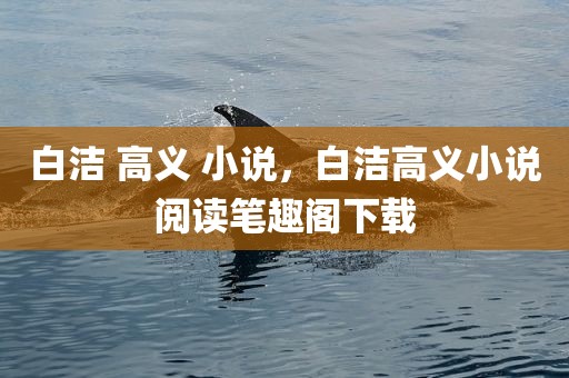 白洁 高义 小说，白洁高义小说阅读笔趣阁下载