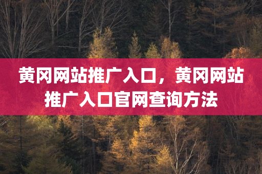 黄冈网站推广入口，黄冈网站推广入口官网查询方法