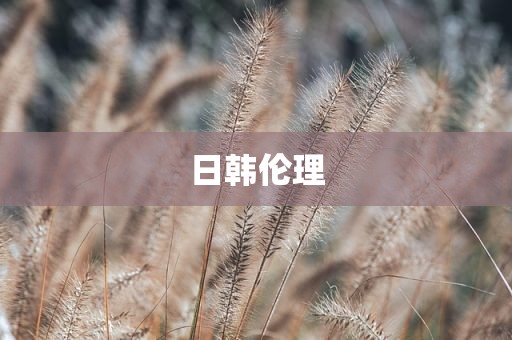 日韩伦理