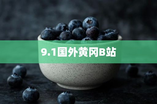 9.1国外黄冈B站